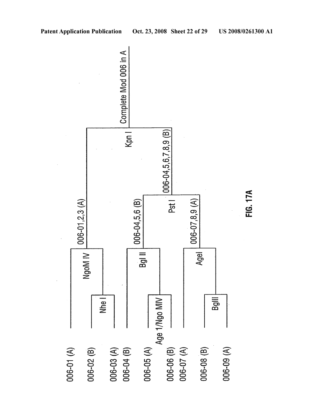 Synthetic genes - diagram, schematic, and image 23