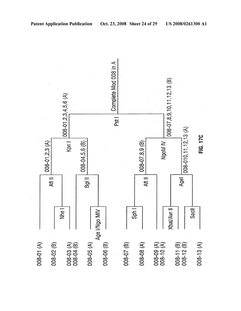 Synthetic genes - diagram, schematic, and image 25