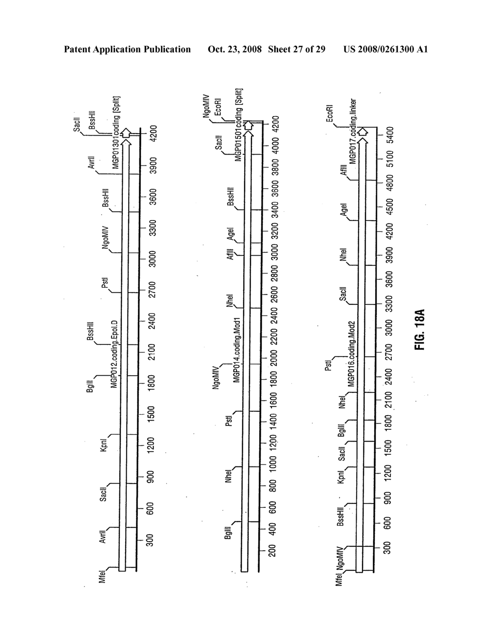 Synthetic genes - diagram, schematic, and image 28