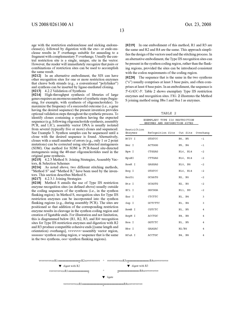 Synthetic genes - diagram, schematic, and image 43