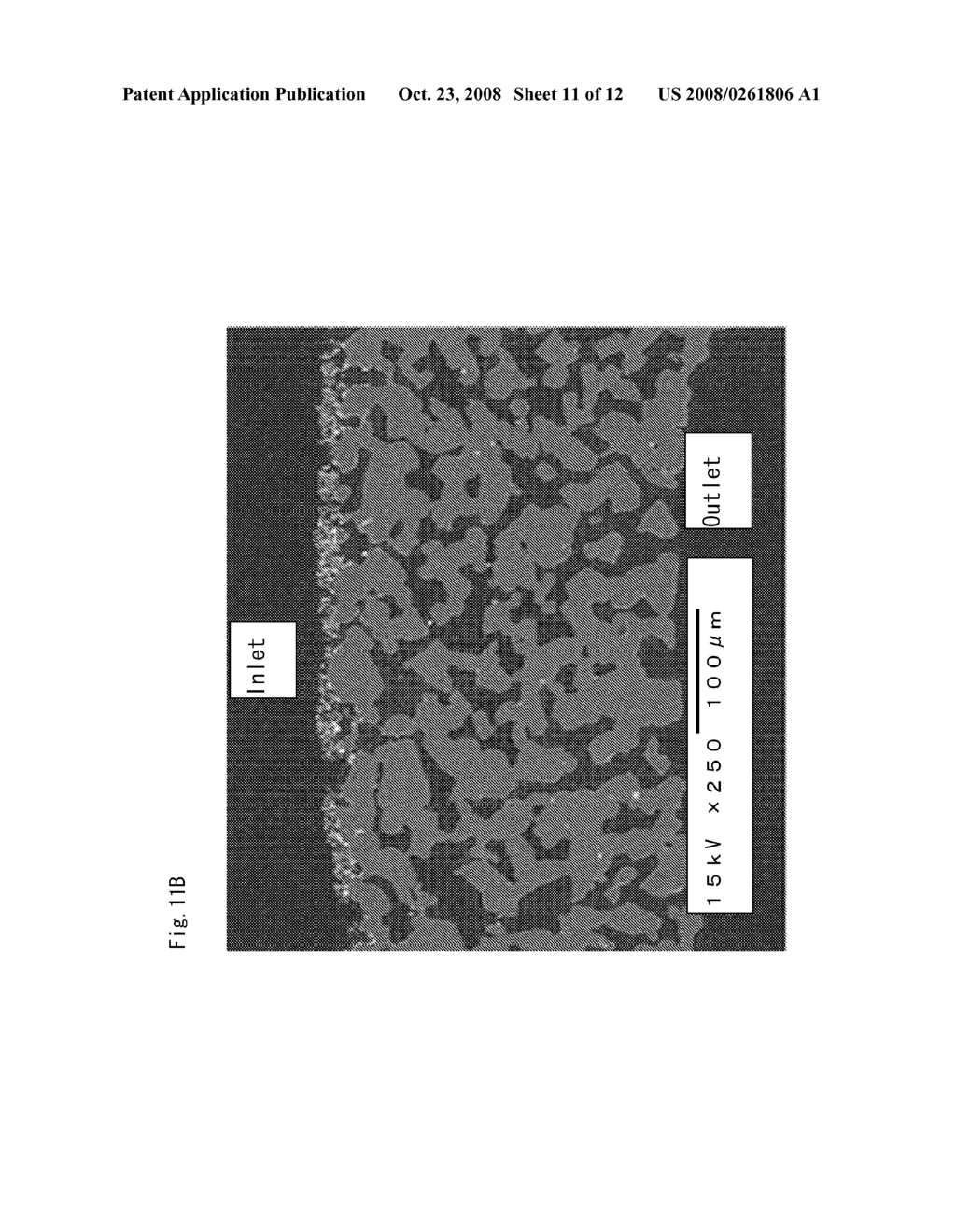 CATALYST SUPPORTING HONEYCOMB AND METHOD OF MANUFACTURING THE SAME - diagram, schematic, and image 12