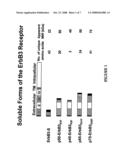 Methods for Inhibiting Heregulin and Treating Cancer diagram and image