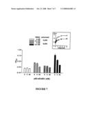 Methods for Inhibiting Heregulin and Treating Cancer diagram and image