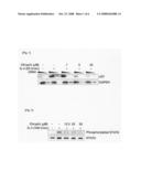 Allergy Suppressive Agent diagram and image