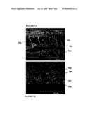 Composites with oriented particles and particle networks diagram and image