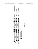 NOVEL CANCER-ASSOCIATED GENES diagram and image