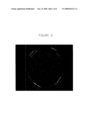 Ribocloning: Recombinant DNA Construction using Primers with RIBO Bases diagram and image