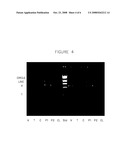 Ribocloning: Recombinant DNA Construction using Primers with RIBO Bases diagram and image