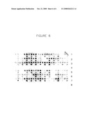 Ribocloning: Recombinant DNA Construction using Primers with RIBO Bases diagram and image