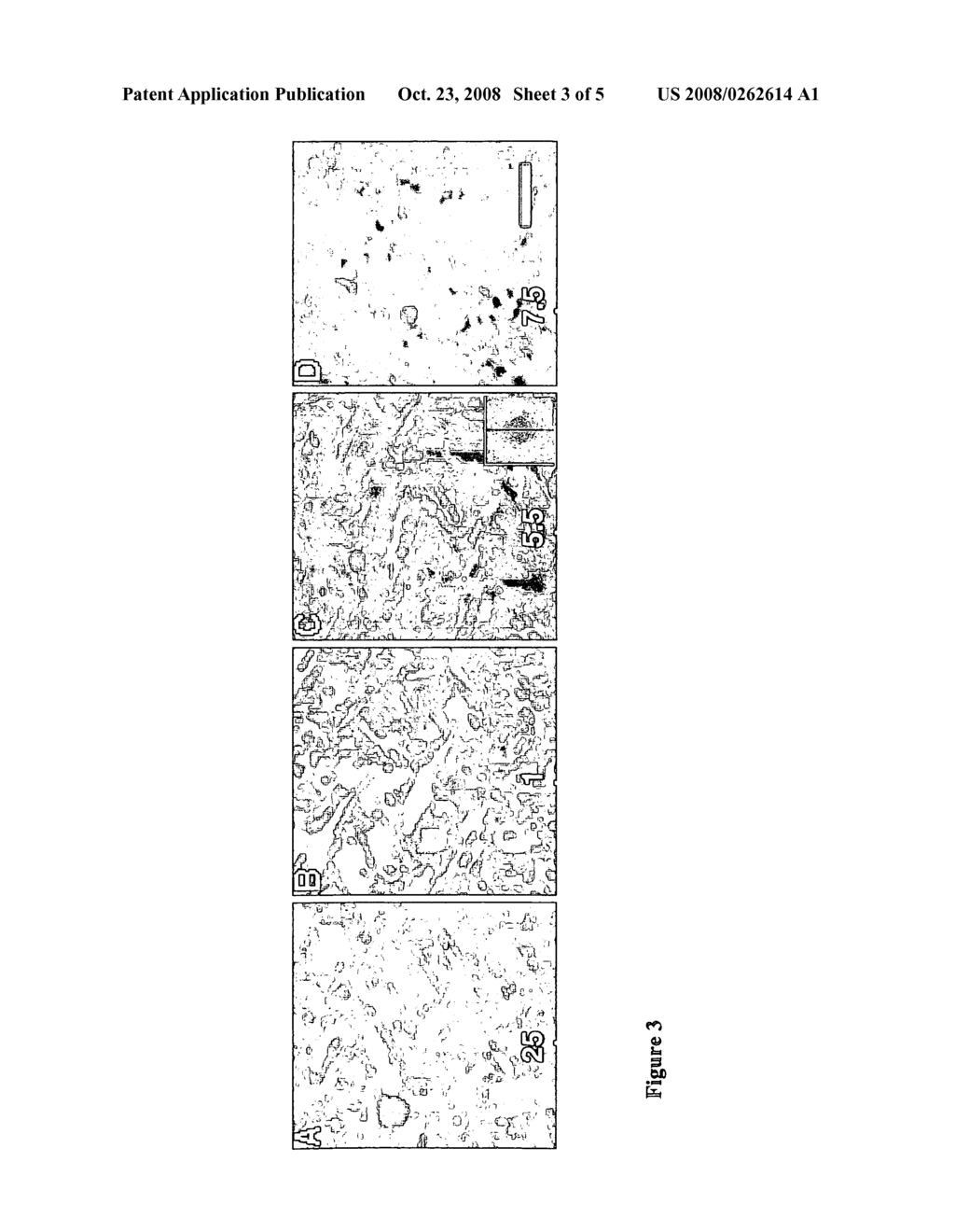 METHODS OF MAKING AND USING SURFACTANT POLYMERS - diagram, schematic, and image 04