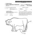 Hunting and Observation Blind diagram and image