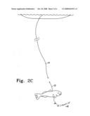 Rabbit ear no-gaff spear diagram and image