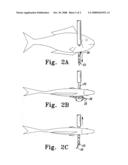 Swivel point fish gig diagram and image