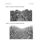 Agricultural Machine for Crop Interseeding diagram and image