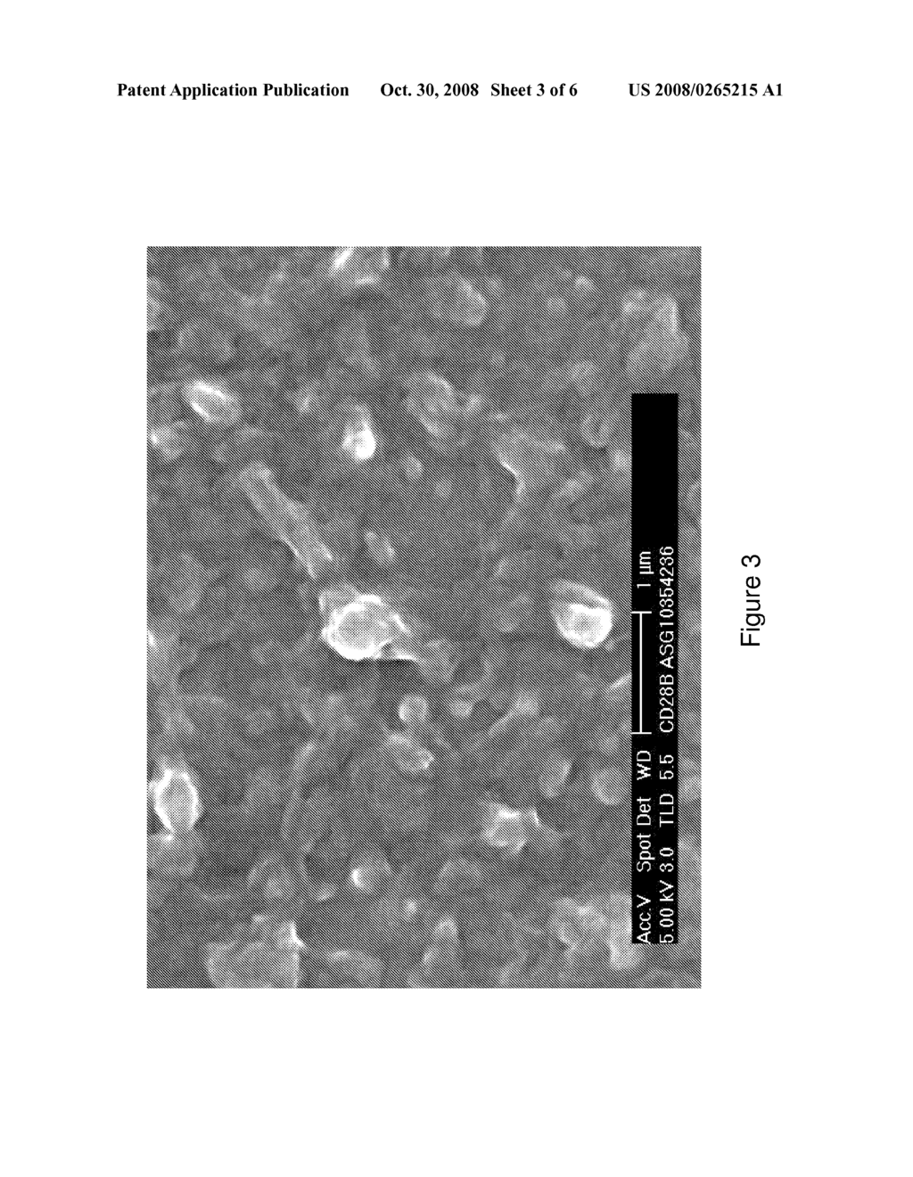 Conductive Polymers Consisting of Anisotropic Morphology Particles - diagram, schematic, and image 04