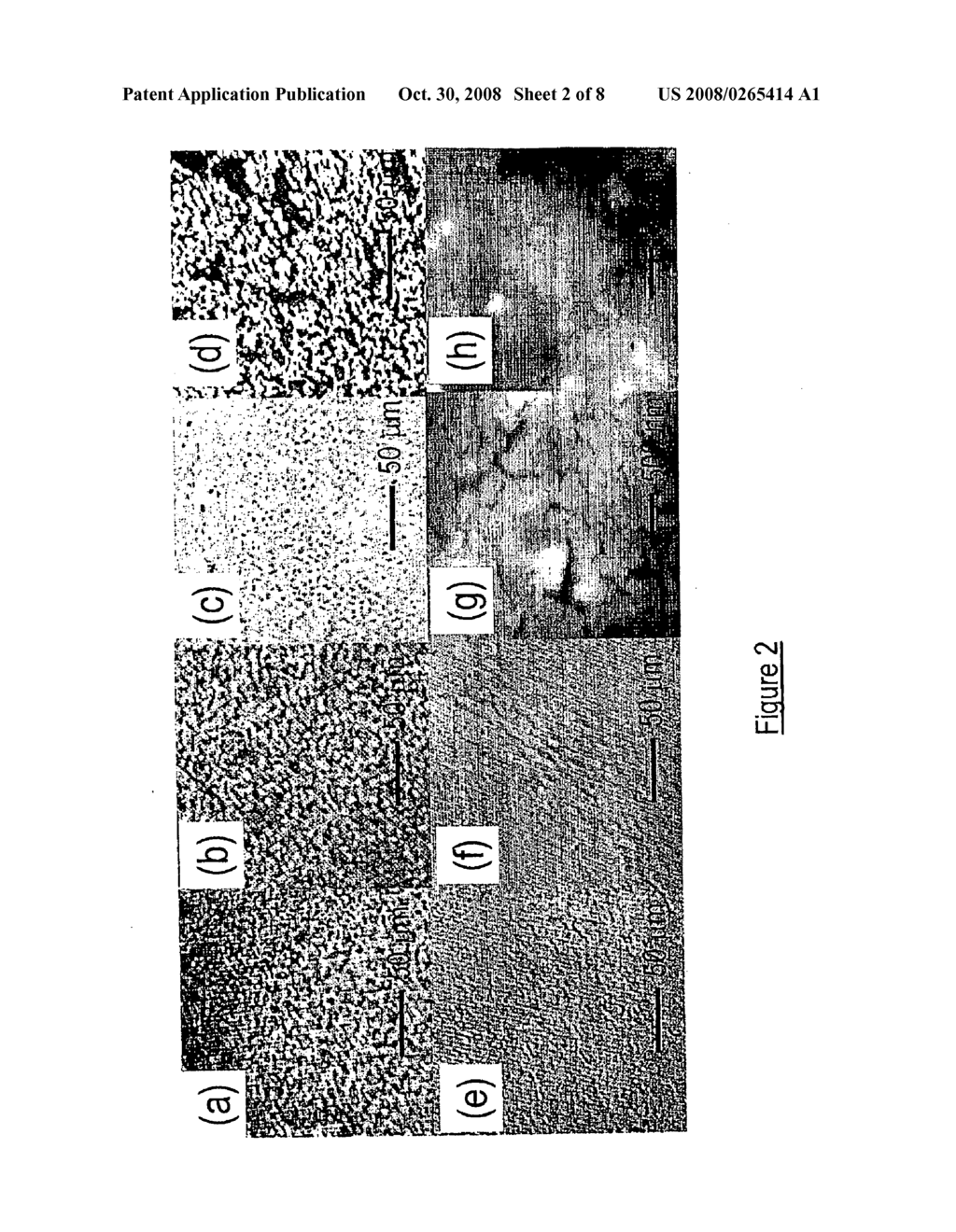 Electrically Conductive Composite - diagram, schematic, and image 03