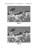 SYSTEMS AND METHODS FOR MEASURING LOSS OF DETAIL IN A VIDEO CODEC BLOCK diagram and image