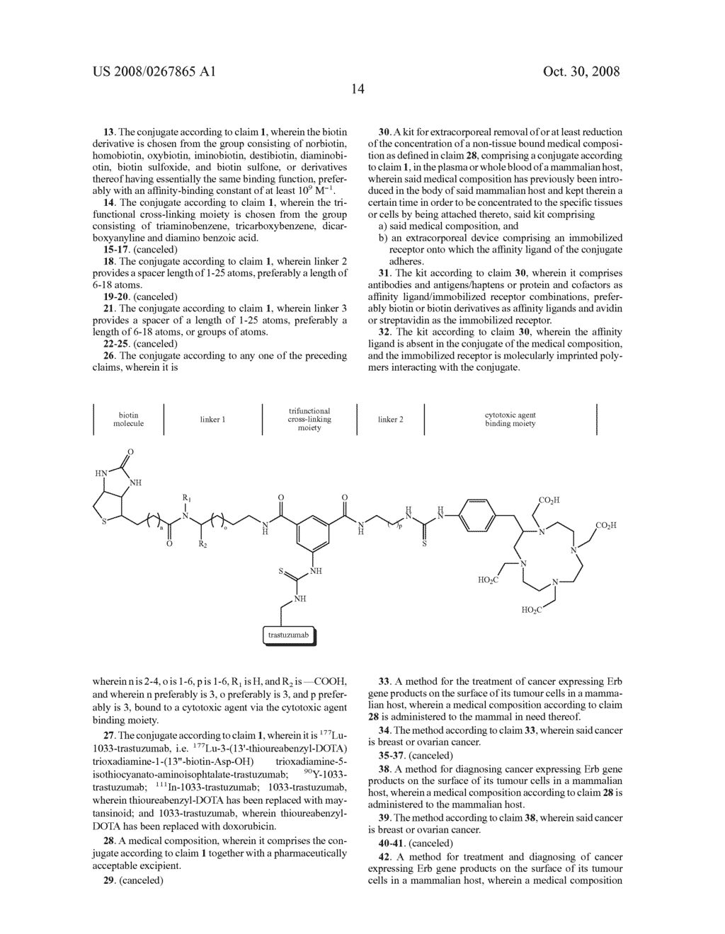 Targeting of Erb Antigens - diagram, schematic, and image 20