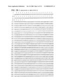 Nucleic acid and corresponding protein entitled 98P4B6 useful in treatment and detection of cancer diagram and image