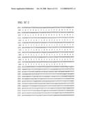 Nucleic acid and corresponding protein entitled 98P4B6 useful in treatment and detection of cancer diagram and image