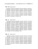 Nucleic acid and corresponding protein entitled 98P4B6 useful in treatment and detection of cancer diagram and image