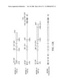 Nucleic acid and corresponding protein entitled 98P4B6 useful in treatment and detection of cancer diagram and image