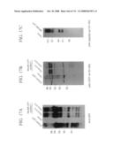 Nucleic acid and corresponding protein entitled 98P4B6 useful in treatment and detection of cancer diagram and image