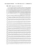 Nucleic acid and corresponding protein entitled 98P4B6 useful in treatment and detection of cancer diagram and image