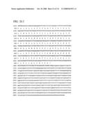 Nucleic acid and corresponding protein entitled 98P4B6 useful in treatment and detection of cancer diagram and image