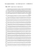 Nucleic acid and corresponding protein entitled 98P4B6 useful in treatment and detection of cancer diagram and image