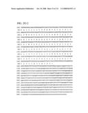 Nucleic acid and corresponding protein entitled 98P4B6 useful in treatment and detection of cancer diagram and image