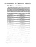 Nucleic acid and corresponding protein entitled 98P4B6 useful in treatment and detection of cancer diagram and image