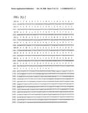 Nucleic acid and corresponding protein entitled 98P4B6 useful in treatment and detection of cancer diagram and image