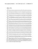 Nucleic acid and corresponding protein entitled 98P4B6 useful in treatment and detection of cancer diagram and image