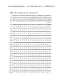 Nucleic acid and corresponding protein entitled 98P4B6 useful in treatment and detection of cancer diagram and image