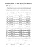 Nucleic acid and corresponding protein entitled 98P4B6 useful in treatment and detection of cancer diagram and image