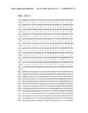 Nucleic acid and corresponding protein entitled 98P4B6 useful in treatment and detection of cancer diagram and image