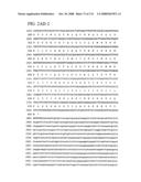 Nucleic acid and corresponding protein entitled 98P4B6 useful in treatment and detection of cancer diagram and image