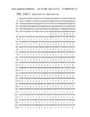 Nucleic acid and corresponding protein entitled 98P4B6 useful in treatment and detection of cancer diagram and image