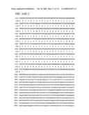 Nucleic acid and corresponding protein entitled 98P4B6 useful in treatment and detection of cancer diagram and image