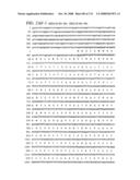 Nucleic acid and corresponding protein entitled 98P4B6 useful in treatment and detection of cancer diagram and image