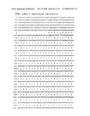 Nucleic acid and corresponding protein entitled 98P4B6 useful in treatment and detection of cancer diagram and image