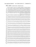 Nucleic acid and corresponding protein entitled 98P4B6 useful in treatment and detection of cancer diagram and image