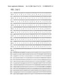 Nucleic acid and corresponding protein entitled 98P4B6 useful in treatment and detection of cancer diagram and image