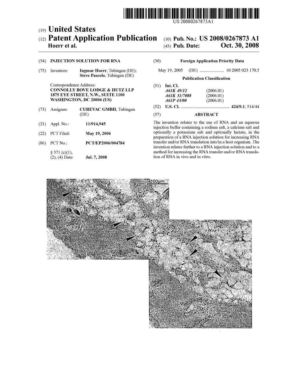 Injection Solution for Rna - diagram, schematic, and image 01