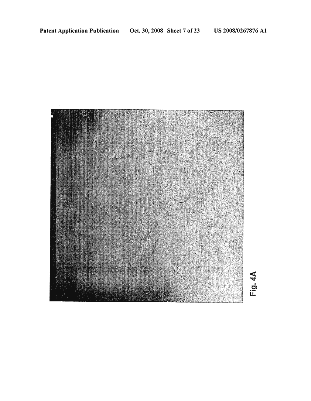 Nanoparticles for Targeted Delivery of Active Agent - diagram, schematic, and image 08