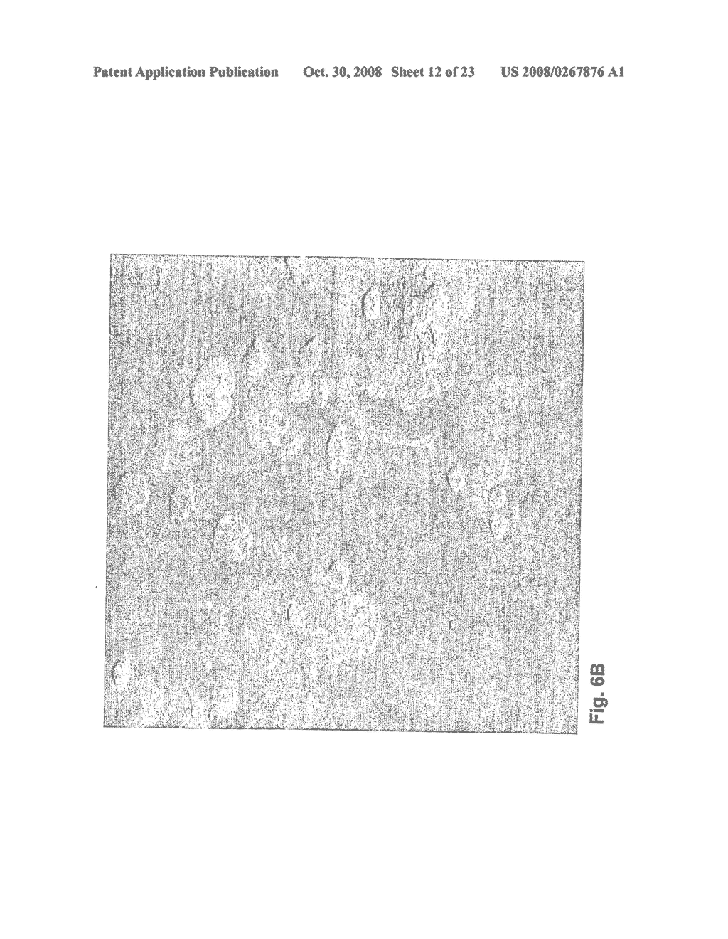 Nanoparticles for Targeted Delivery of Active Agent - diagram, schematic, and image 13