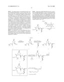 N-FUNCTIONALIZED AMIDES AS HEPATITIS C SERINE PROTEASE INHIBITORS diagram and image