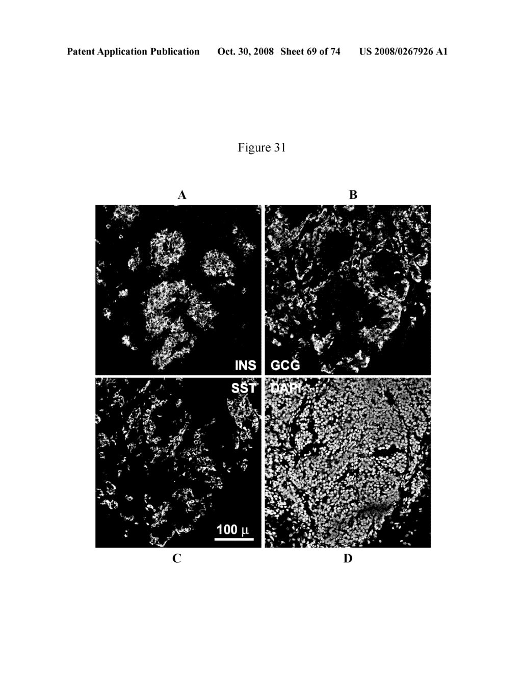 METHODS OF PRODUCING PANCREATIC HORMONES - diagram, schematic, and image 70