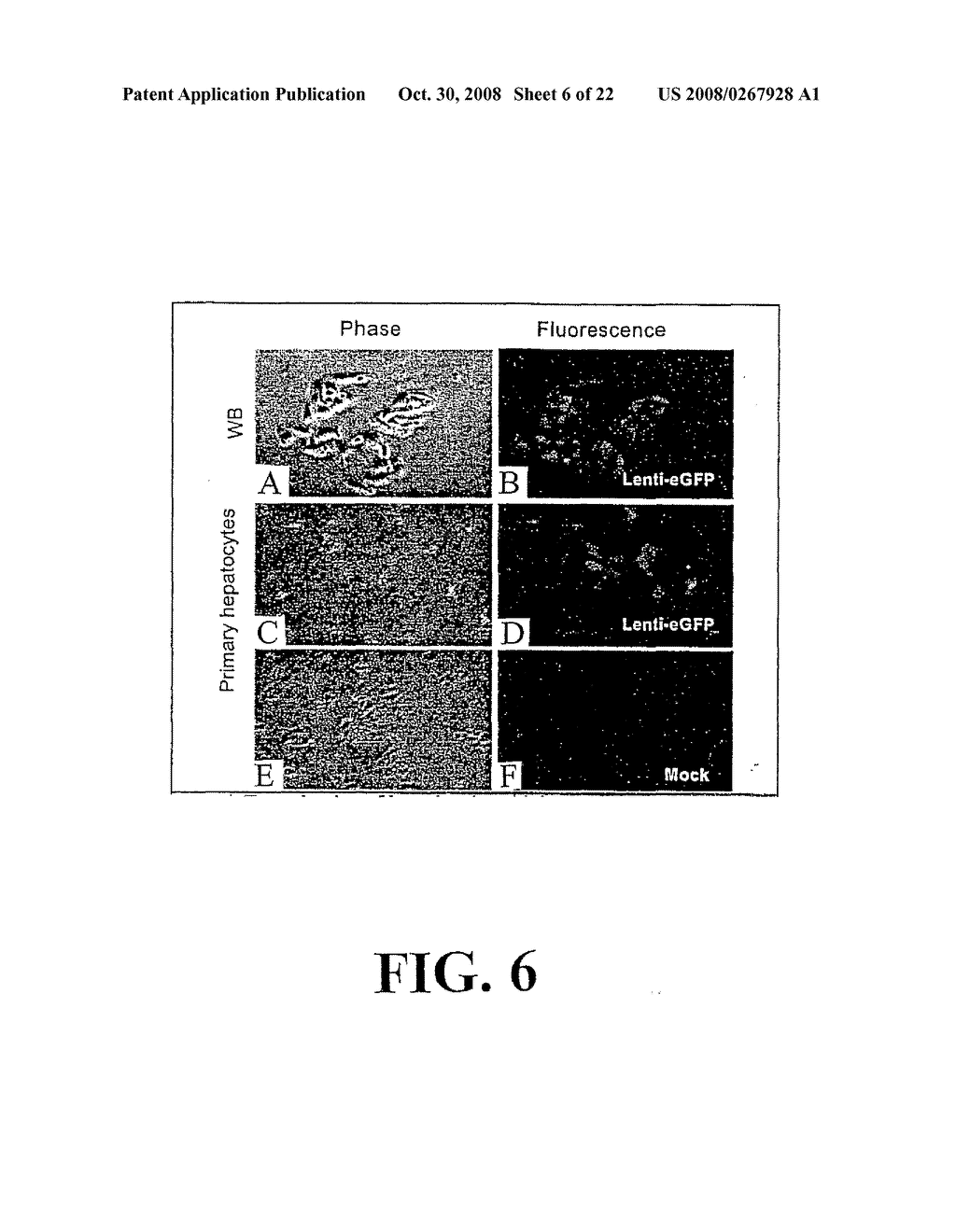 Compositions and Methods for Making Insulin-Producing Cells - diagram, schematic, and image 07